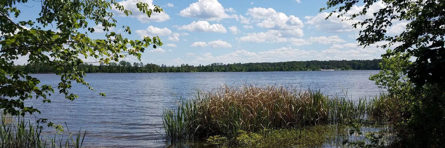 Stephanie Teeter (She/her) banner