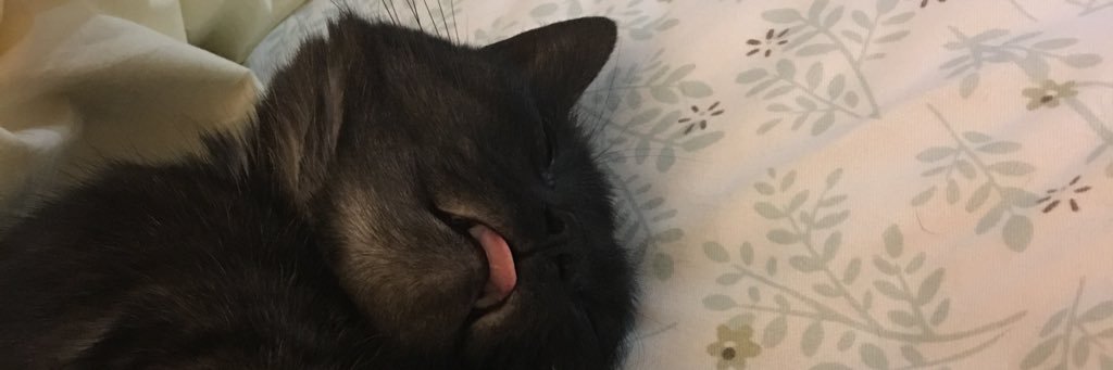 ((( betha )))🐈‍⬛💙🏴‍☠️ banner