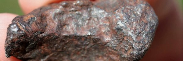 rocksolidfossil Profile Banner