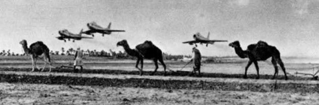 عبدالعزيز بن محمد 🐆 banner