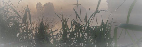 JoergFaust Profile Banner