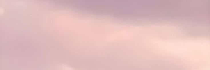 vchxlien's profile banner image