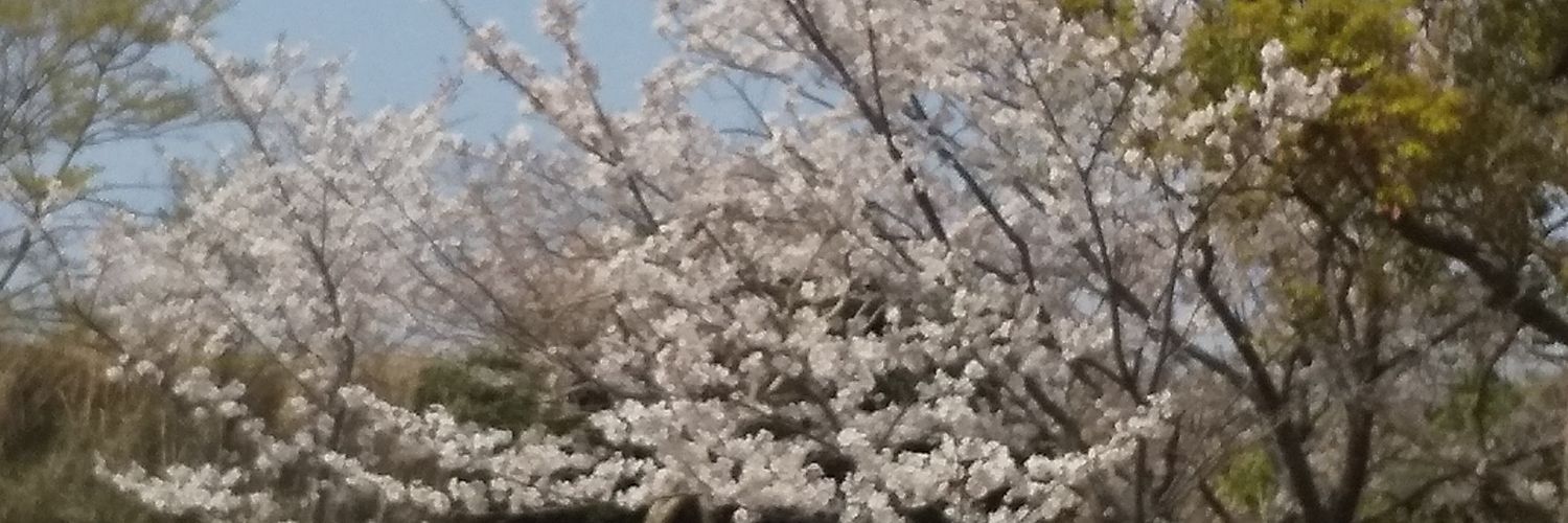 dagodago2021's profile banner image