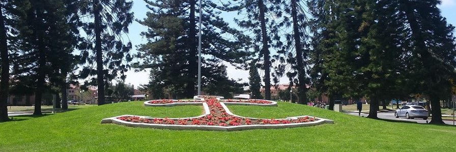 Jana L. Albany banner