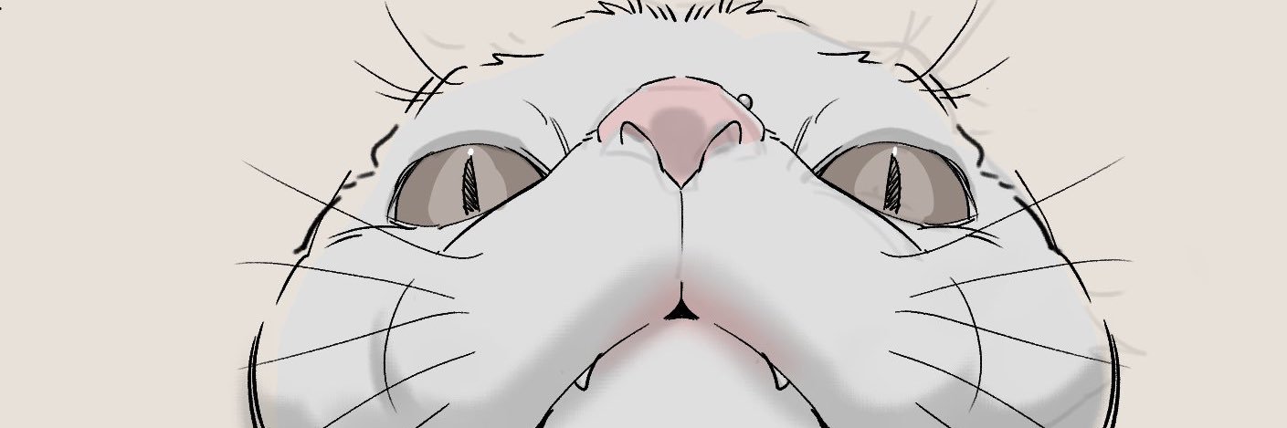 saxcilk's profile banner image