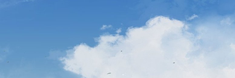 naviagi's profile banner image