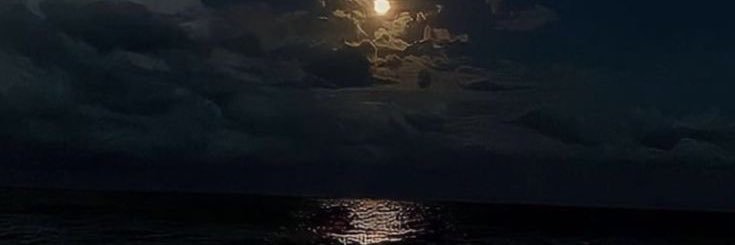 |8| banner