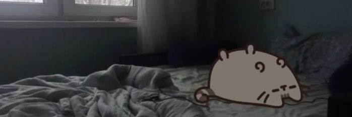 ziricals's profile banner image