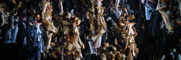 BrambillaStudio Profile Banner