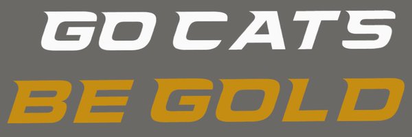 ctwildcatsfb Profile Banner