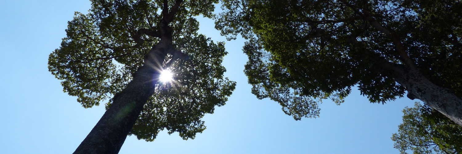 Andrew Hirons banner