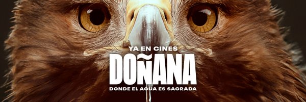 wandafilms Profile Banner