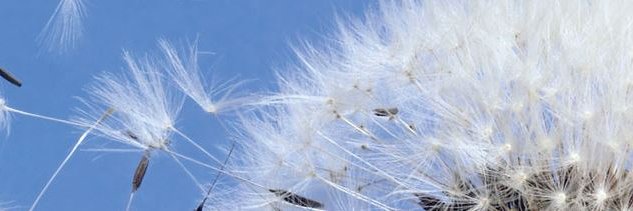 JanineTalley's profile banner image