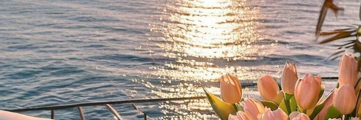 lawsosa's profile banner image