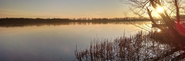 BristleBerry Profile Banner