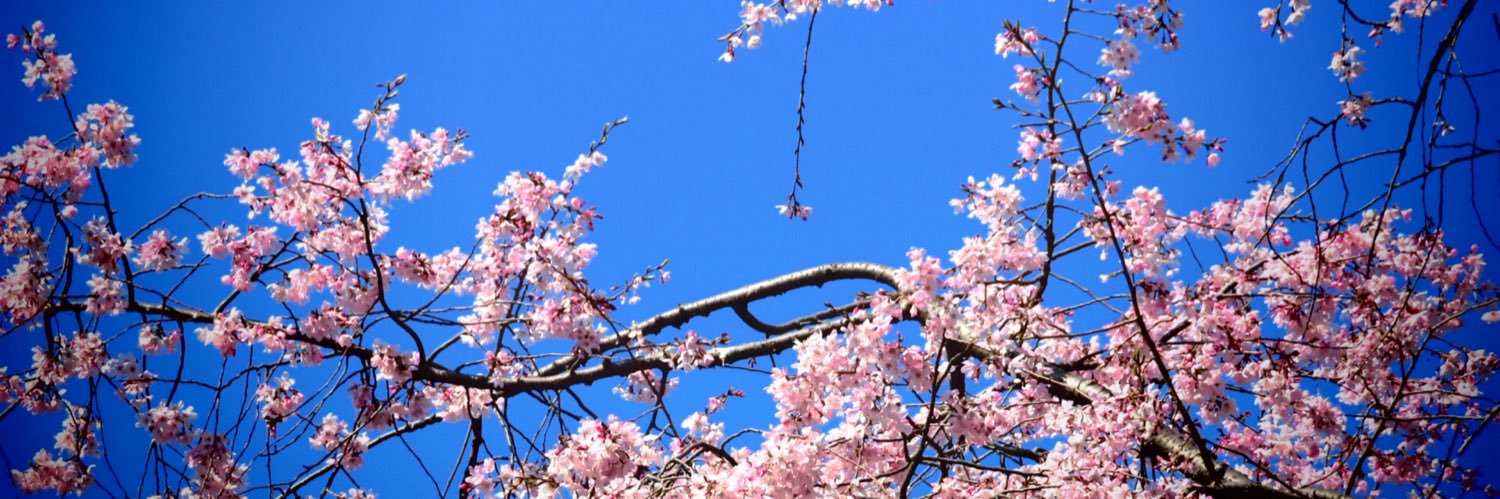 AKAcassius（カヤwithカシアス） banner