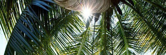 verdadescritas's profile banner image