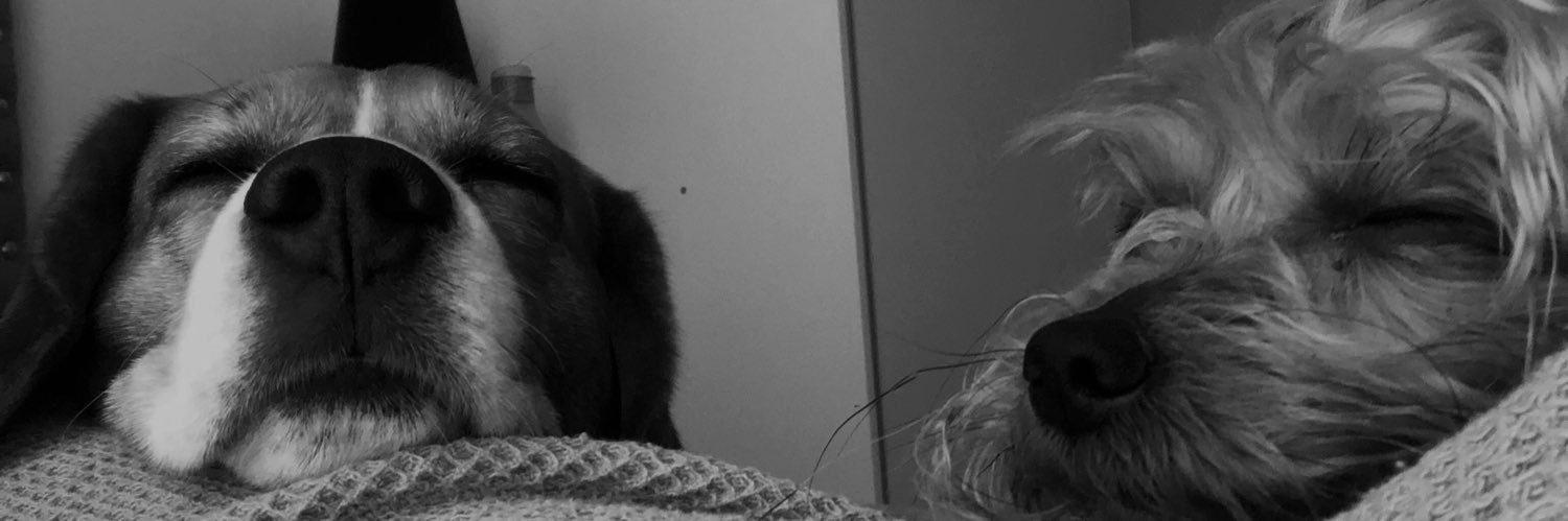 JuliReboredo's profile banner image