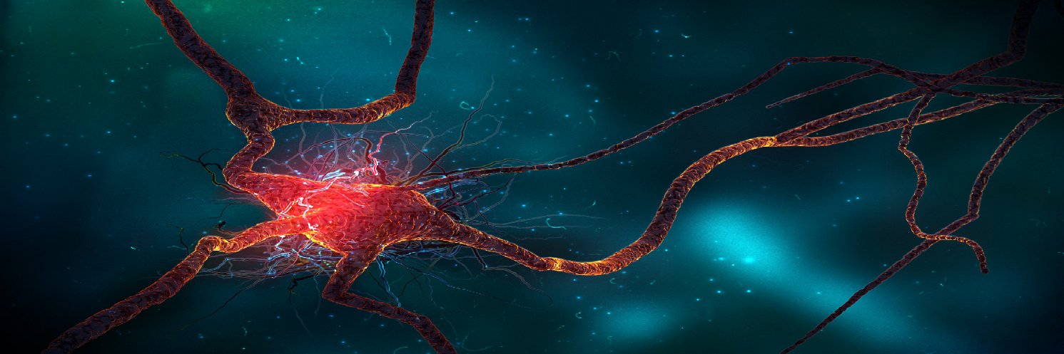 48656C6C6F2C20576F726C6421 banner