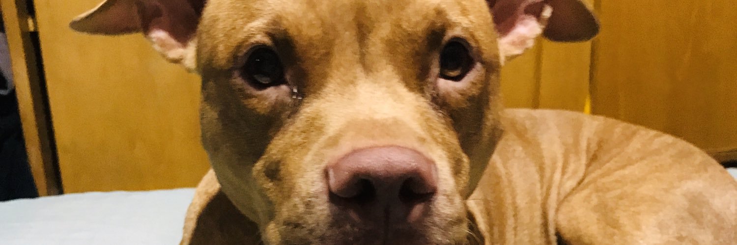 CaamiiCanch's profile banner image