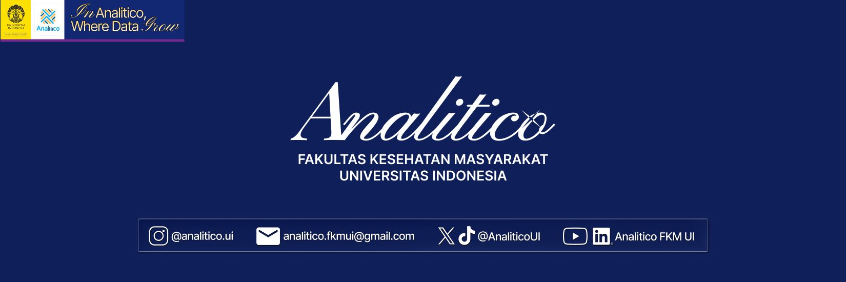 Analitico FKM UI banner
