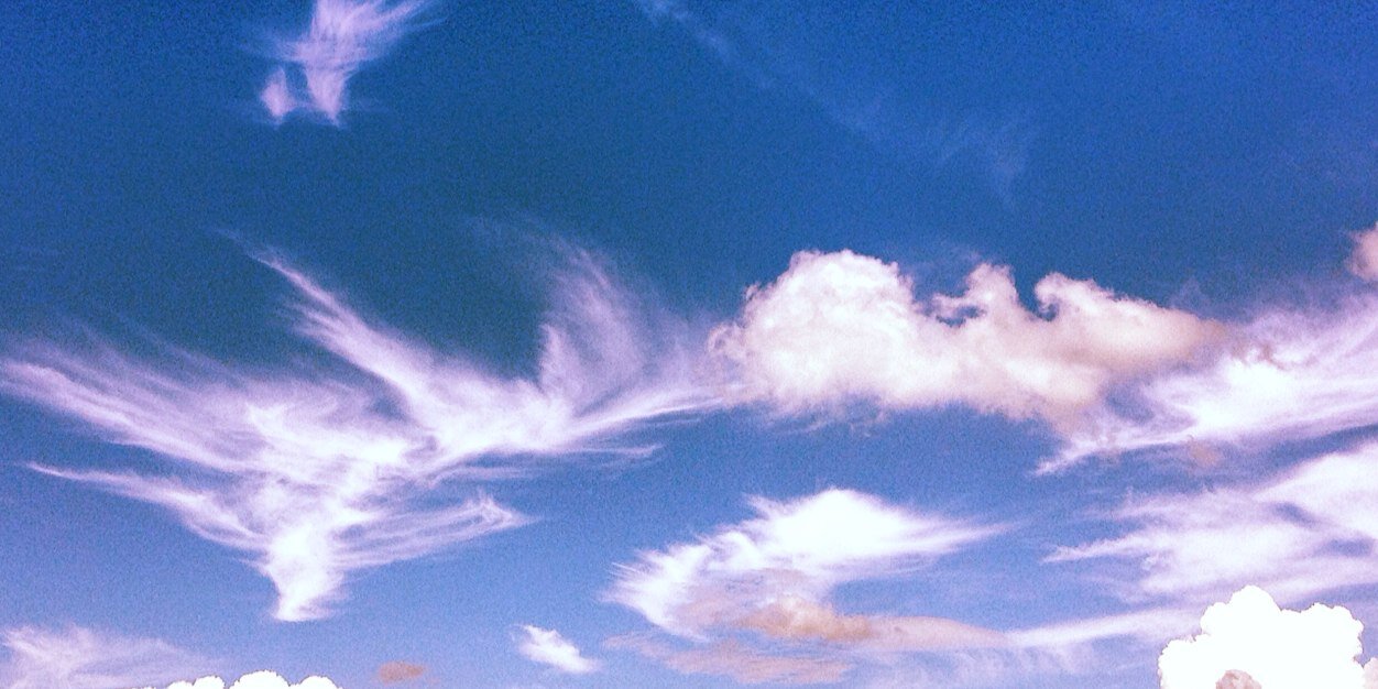 Libby Proctor banner