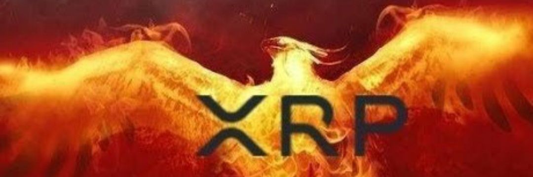 XRP/Forex trader enthusiast 🇺🇸 banner