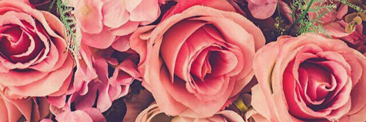 Marcela_Pozzo's profile banner image