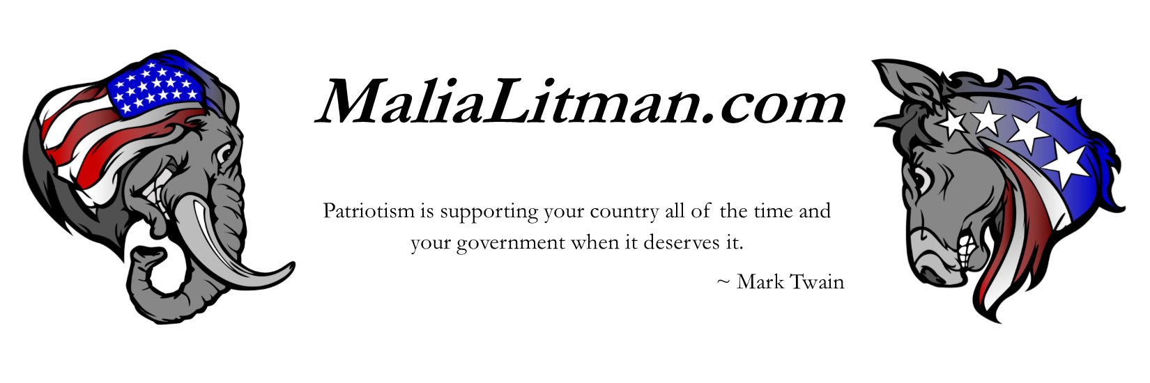 MaliaLitman's profile banner image