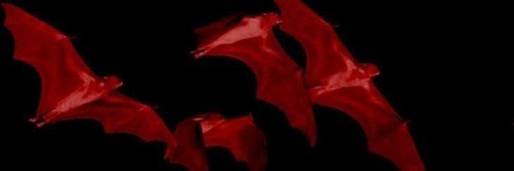 (⁠✯demii✯⁠) banner