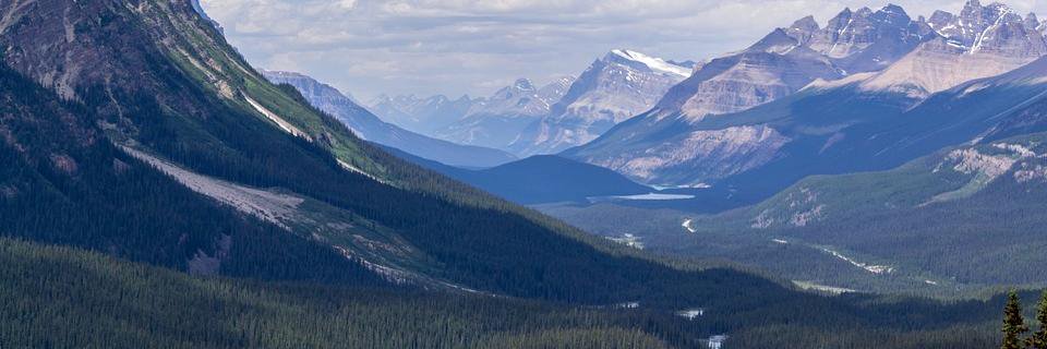 Conservation Finance banner