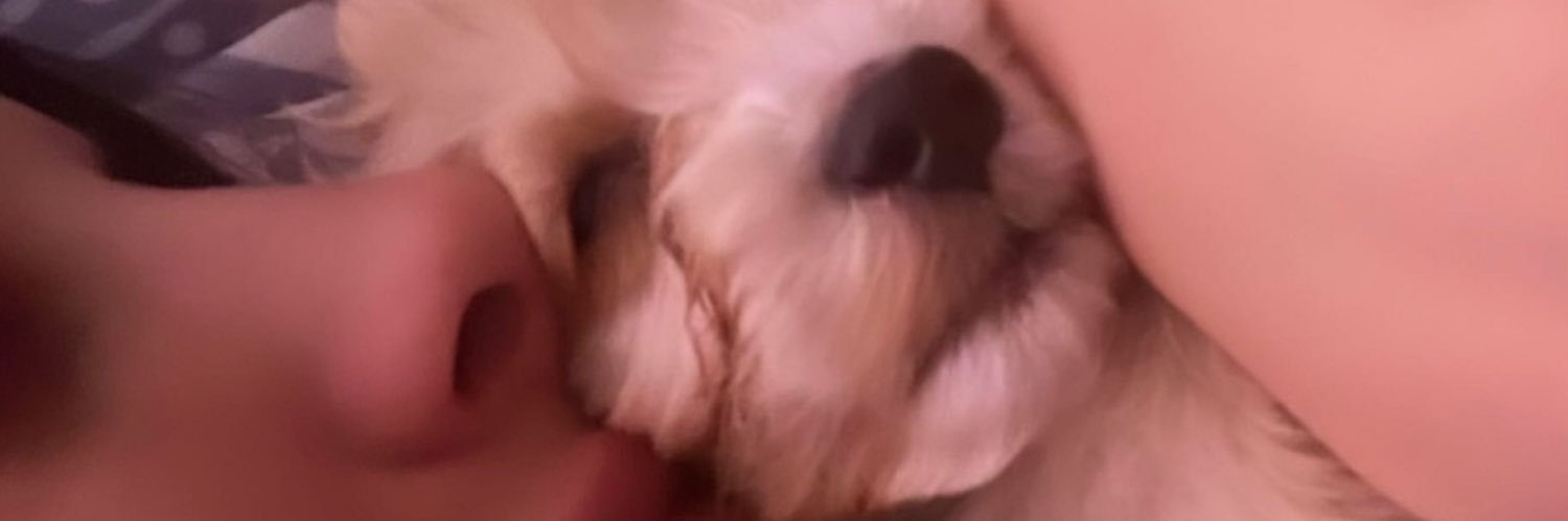 AnaCh__'s profile banner image
