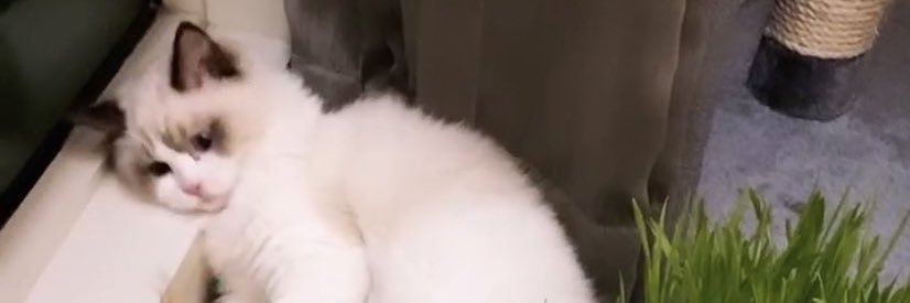 •₊˚ 𝕂𝔸𝕐 ◡̈ 🚿 banner