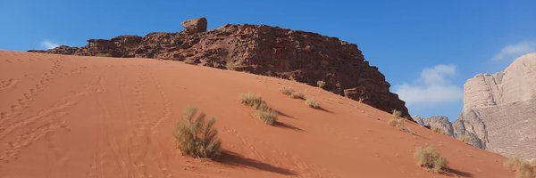 mlakarjev Profile Banner