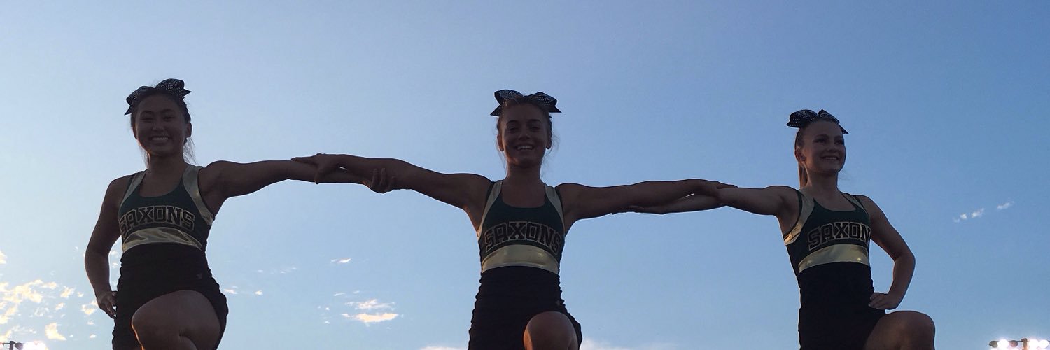 langley_cheer's profile banner image