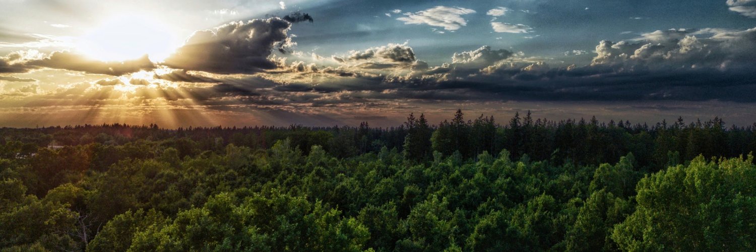 NftreeSeedr's profile banner image
