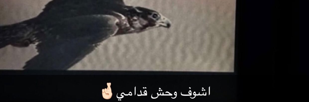 وحـّـش 🪶 banner