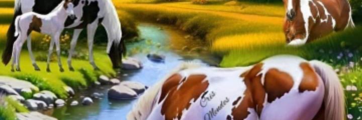 Catalinvmanu's profile banner image