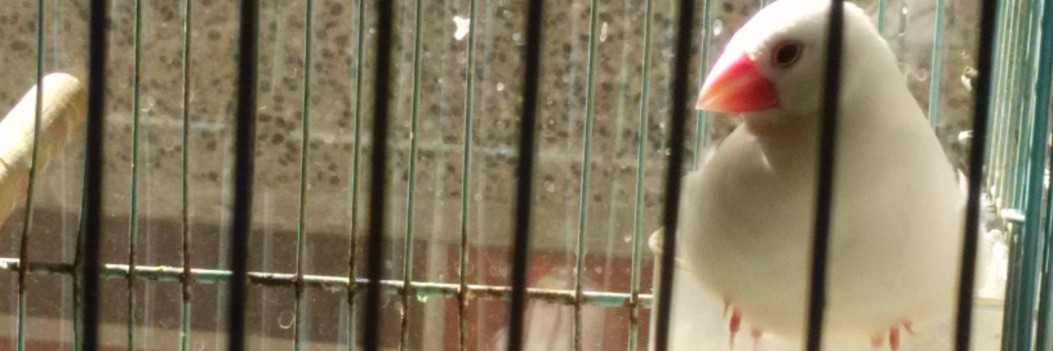yowax2's profile banner image