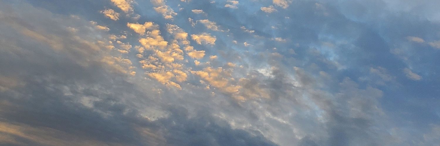 9648genki's profile banner image