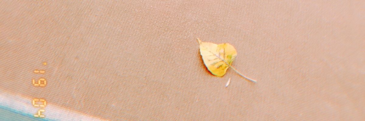 dirt0328's profile banner image