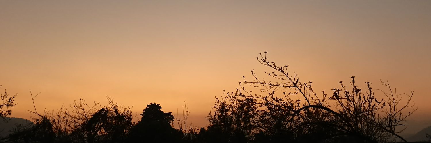 margo_g16's profile banner image