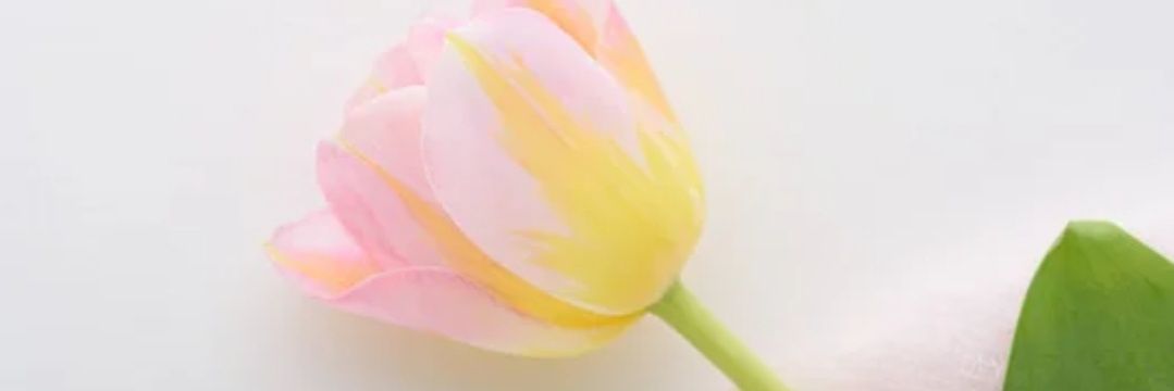 drgsm_k's profile banner image
