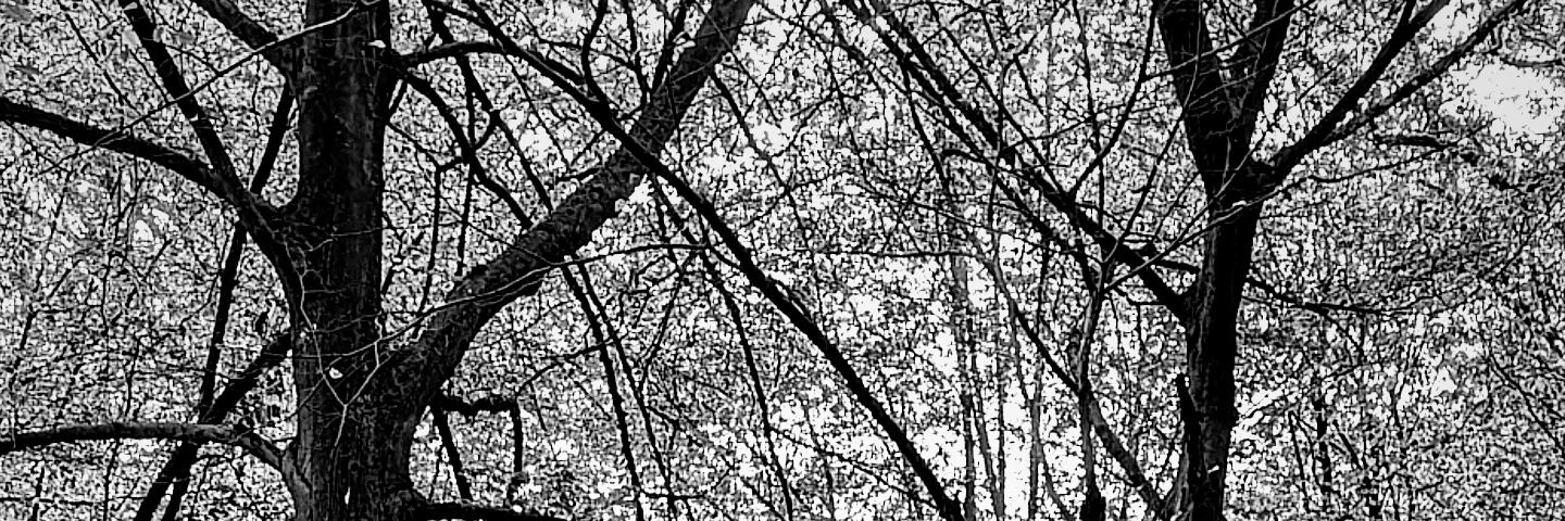 ReceptivisteMan's profile banner image