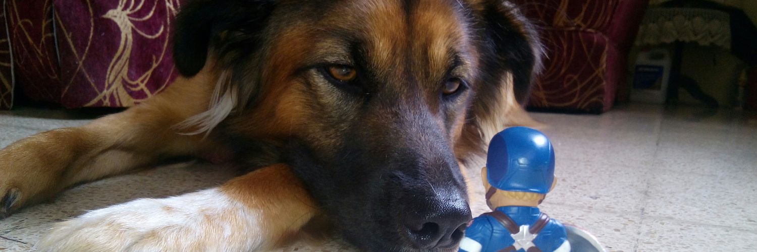 JohnnyPaucar's profile banner image