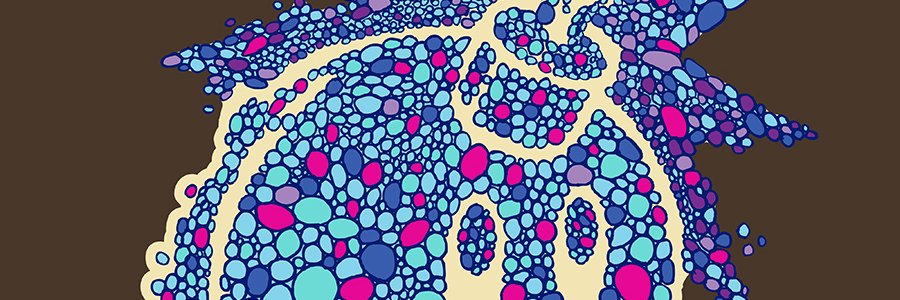 onlyfans.eth banner