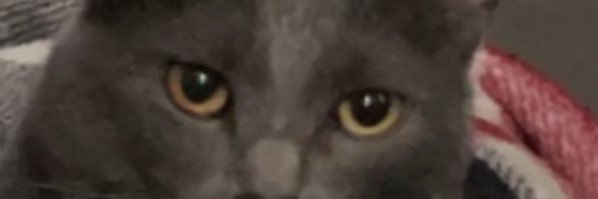 NorrisIV_'s profile banner image