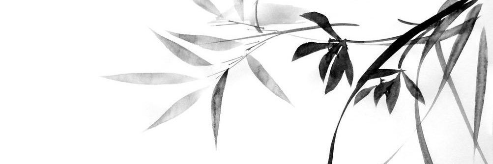 YlNYUU's profile banner image