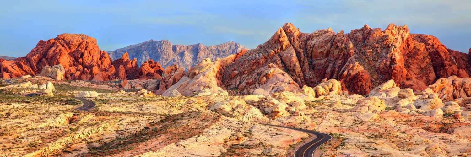 Nevada MAGA banner