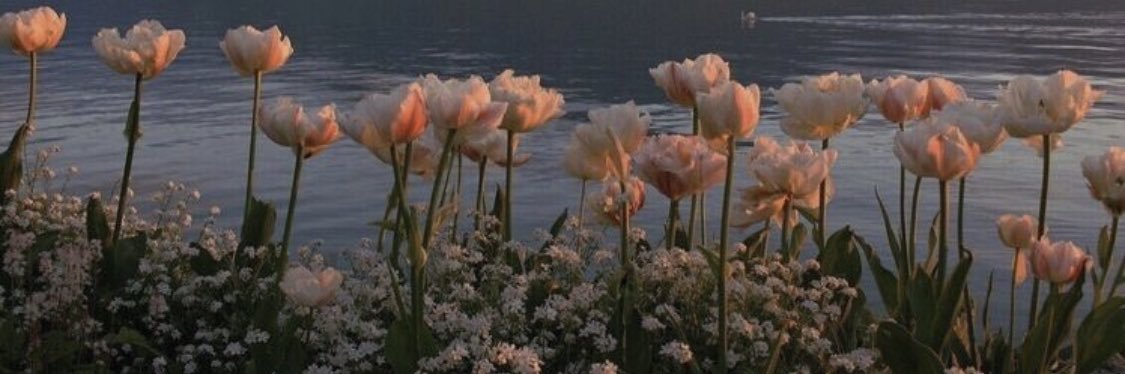 carolinebrhlt's profile banner image